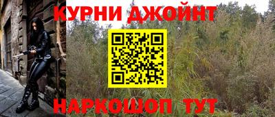 Альфа ПВП Гатчина