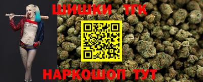 Альфа ПВП Гатчина