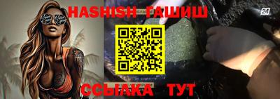 Альфа ПВП Гатчина