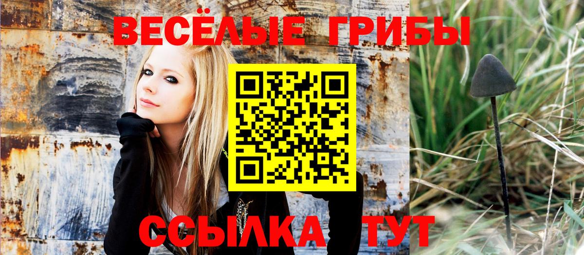 Галлюциногенные грибы MAGIC MUSHROOMS Дятьково