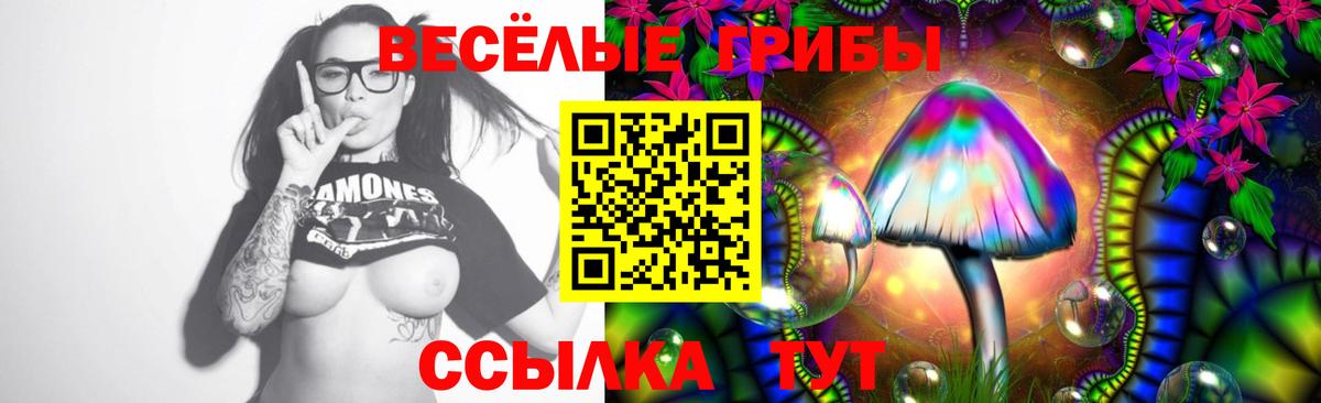 Дятьково  Галлюциногенные грибы Psilocybine cubensis  Вход с VPN 